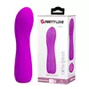 Vibrator
