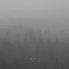 Loscil - Lake Fire (2 LP)