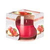 eoshop Sveča v kozarcu JABOLKO-CIMET dišeče 100g