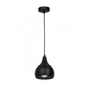 Luster na sajli AKTAN 1xE27/60W/230V crna