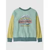 Patagonia Crew Kids Sweater thin ice