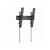 Gembird Zzidni nosač tilt PRO za TV 32”-65” WM-65T-PRO-01