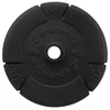 Energetics CAST IRON DISC PCE 30MM, disk uteg iron, crna 108793