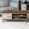 Hanah Home Club sto Ayla, 105x38.2x60 cm, Smeđe-bijela