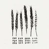 Lo! - The Gleaners (LP)