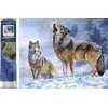 Norimpex Diamantna slika Volk klic 30x40cm