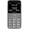 Panasonic KX-TU160EXG mobilni telefon siva ( 47088 )