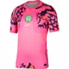Nike Dres Dri-FIT Nigeria Stadium Goalkeeper 2026