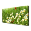 tulup.si Slika na platnu Daisy rastlin narava 125x50 cm