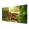 tulup.si Slika na steklu Tree trunk forest narava 120x60 cm 2 obešalnika