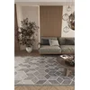 Conceptum Hypnose Tepih Elit 03, 160x230 cm, Sivi