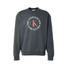 Calvin Klein Jeans Majica temno siva/rdeča/bela