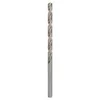 Bosch Spiralna burgija dugačka PRO Metal HSS-G 2608596828