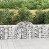 Lučne gabionske košare 40 kom 200x30x80/100cm pocinčano željezo