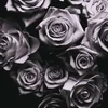 Zomby - With Love (Deluxe Edition) (3 LP)