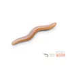 Delphin B! StinxWORM Shrimp / 50 pcs / 4 cm / SKINY