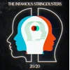 The Infamous Stringdusters - 20/20 (Gatefold Sleeve) (2 LP)
