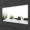 tulup.si Slika na akrilnem steklu Stones grass art 120x60 cm 4 obešalnika