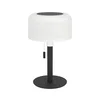 Eglo 75887 - LED RGBW prigušiva spoljašnja stona lampa MONTAPALMA LED/2,2W/3,7V 25 cm IP54