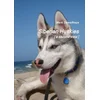 Siberian Huskies [ a second view ]
