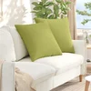 Jastučići za sofu 2 pcs Svijetlo zelena 80 x 80 cm tkanina