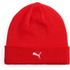 Puma Kapa teamADDITIONS
