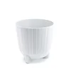Prosperplast Saksija Ryfo N F170N, Bela