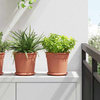 Okrugla saksija za cveće 6 pcs Crvena cigla O 19 x 16 cm