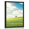Plakat čudoviti sončni dan na travniku - 40x60 no frame