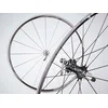 Felna zadnja Shimano Ultegra WH-6600 20H Clincher Siva EWHRIM1DREAC