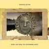 Teenage Guitar - More Lies From The Gooseberry Bush (LP)