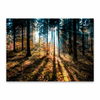 Slika Styler Glasspik Autumn Sunset, 70x100 cm