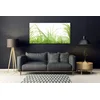 tulup.si Slika na steklu Grass nature rastlin 140x70 cm 4 obešalnika