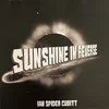 Ian Spider Cubitt - Sunshine In Reverse (Limited Edition) (LP)