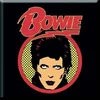 David Bowie Flash Logo Magnet