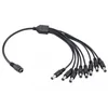 DC Cerberus konektor DC(M) 12V razdelnik 1-8