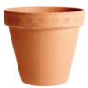 Saksija daisy 31cm
