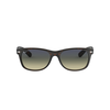 Ray-Ban New Wayfarer Naočare za sunce RB 2132 894/76