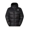 The North Face NF0A8992GOC1 Črna