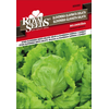 SEME ROYAL SEEDS 81 Solata Belokriška