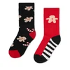 Dolge nogavice Action Boy 8KB-005-AW23 (2-pack) Pisana