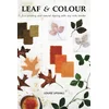 Leaf and Colour