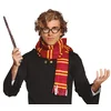 Guirca Komplet Harry Potter - šal in očala