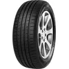 Minerva F209 ( 195/55 R15 85V )