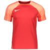 Dres Nike M NK DF STRKE III JSY SS