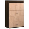 nabbi Barska omarica Mils CH-B - Rhodes hrast/wenge magic