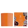 shumee Pamplemousse & Pivoine - Vila Hermanos - dišeča sveča 400 g - serija Fluor