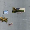 Fazed On A Pony - Swan (LP)