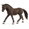 Nemački pony pastuv 13926