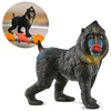 Schleich Schleich Wild Life - Opica Mandril, figurica za otroke 3+